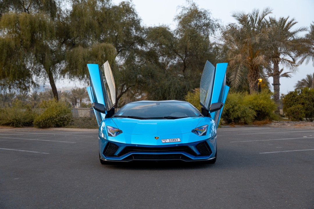 1756897819DSC01134 (1)